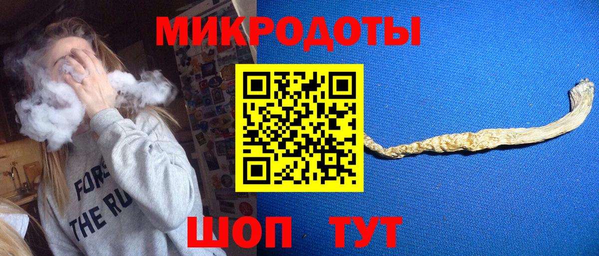 Куйбышев  Псилоцибиновые грибы MAGIC MUSHROOMS  дарнет шоп  Вход с VPN 
